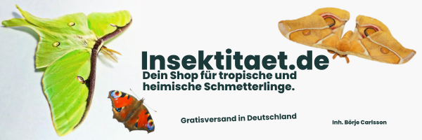http://www.insektitaet.de